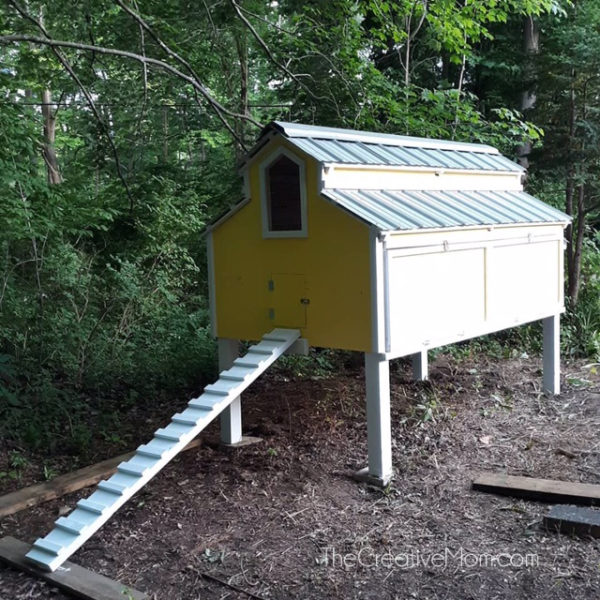 Chicken Coop Building Plans - The Creative Mom